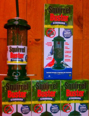 squirle buster bird feeder