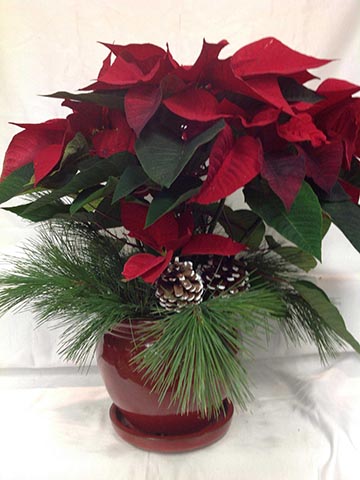 flower arrangement