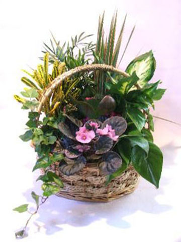 flower arrangement