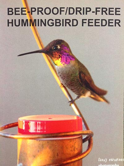 Bee-Proof, Drip-Free Hummingbird Feeders