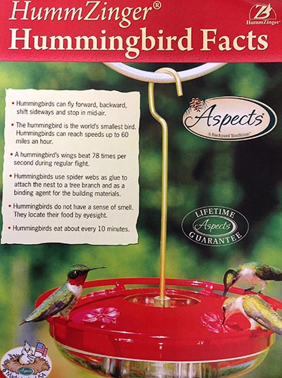 HummZinger Hummingbird Facts: Hummingbirds can fly forward, backward, shift sideways and stop in mid-air. The Hummingbird is the world's smallest bird and can reach speeds up to 60mph. A hummingbird's wings beat 78 times per second during regular flight. Hummingbirds use spider webs as glue to attach the neat to a tree branch and use as a binding agent for building materials. Hummingbirds do not have a sense of smell. They locate their food by eyesight. Hummingbirds eat about every 10 minutes.