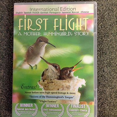 Documentary: First Flight: A Mother Hummingbird's Story, International Edition with extras