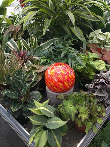 globe with leafy plants